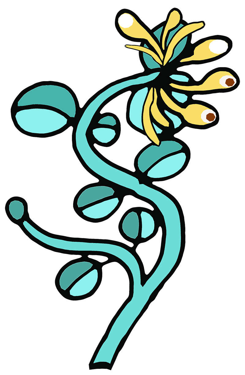 Avatar Jelängerjelieber