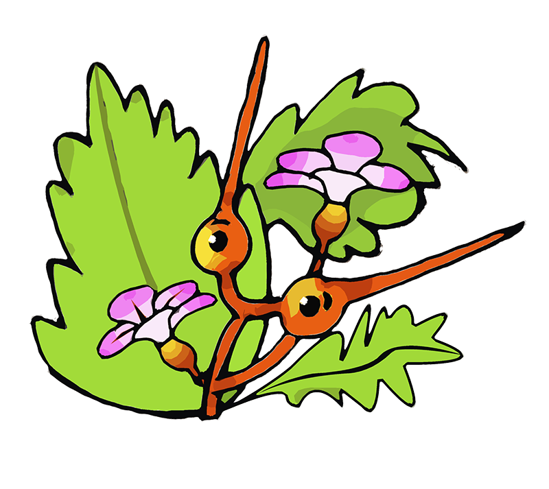 Avatar Storchenschnabel