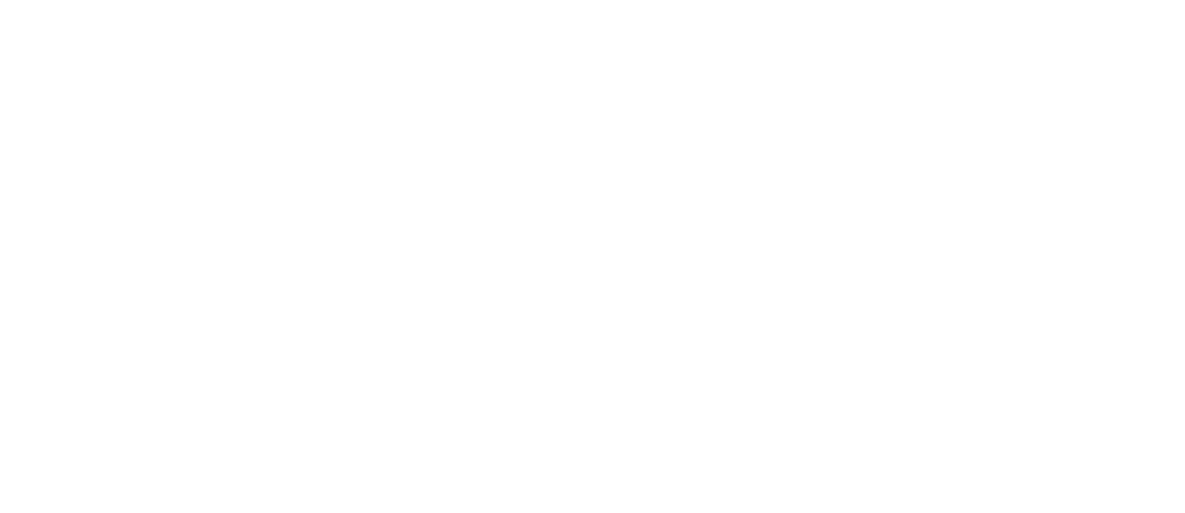 Logo Österreichische Akademie der Wissenschaften