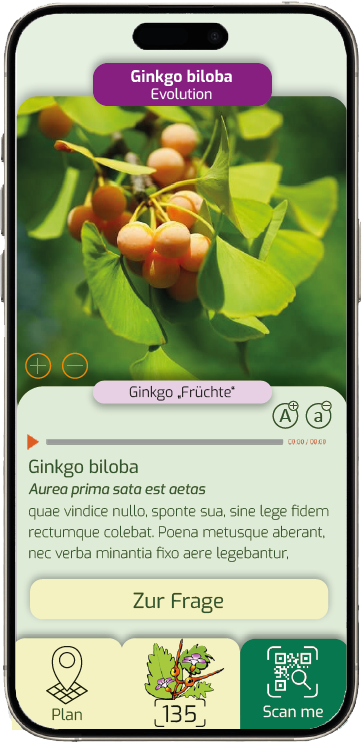 Scanne den QR-Code in der Quest-App